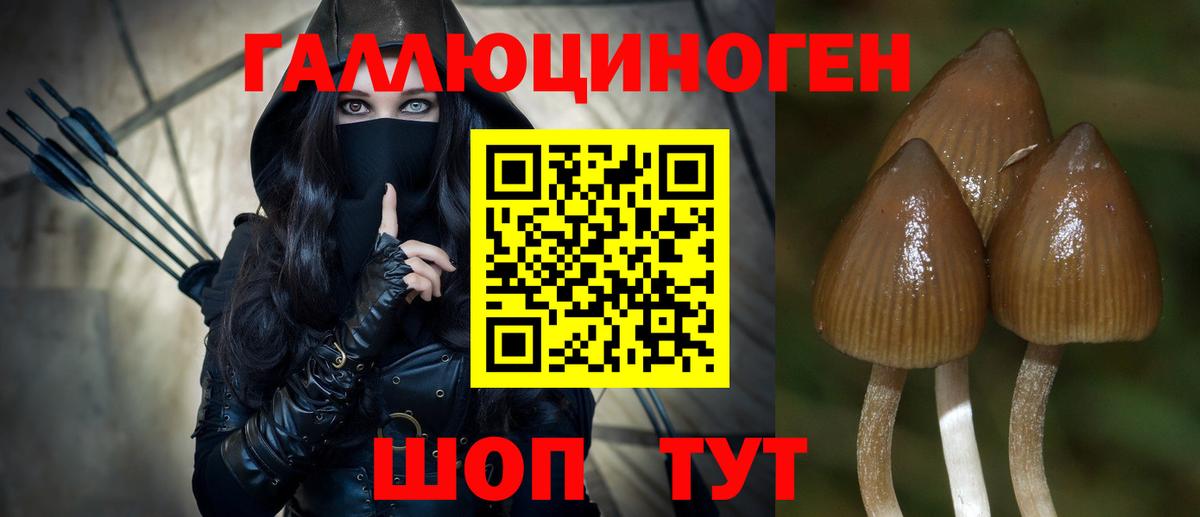Орехово-Зуево  Галлюциногенные грибы Psilocybine cubensis  Вход с VPN  Псилоцибиновые грибы Cubensis 